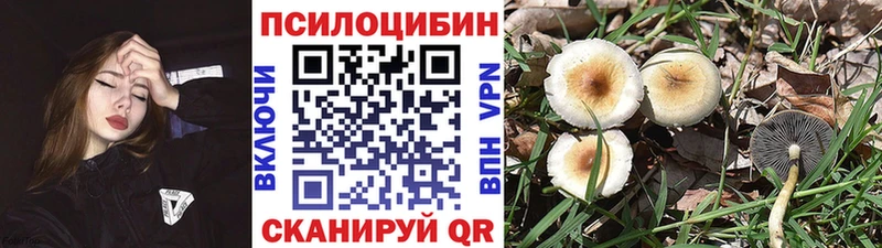 Галлюциногенные грибы GOLDEN TEACHER  Купить где  Онега 
